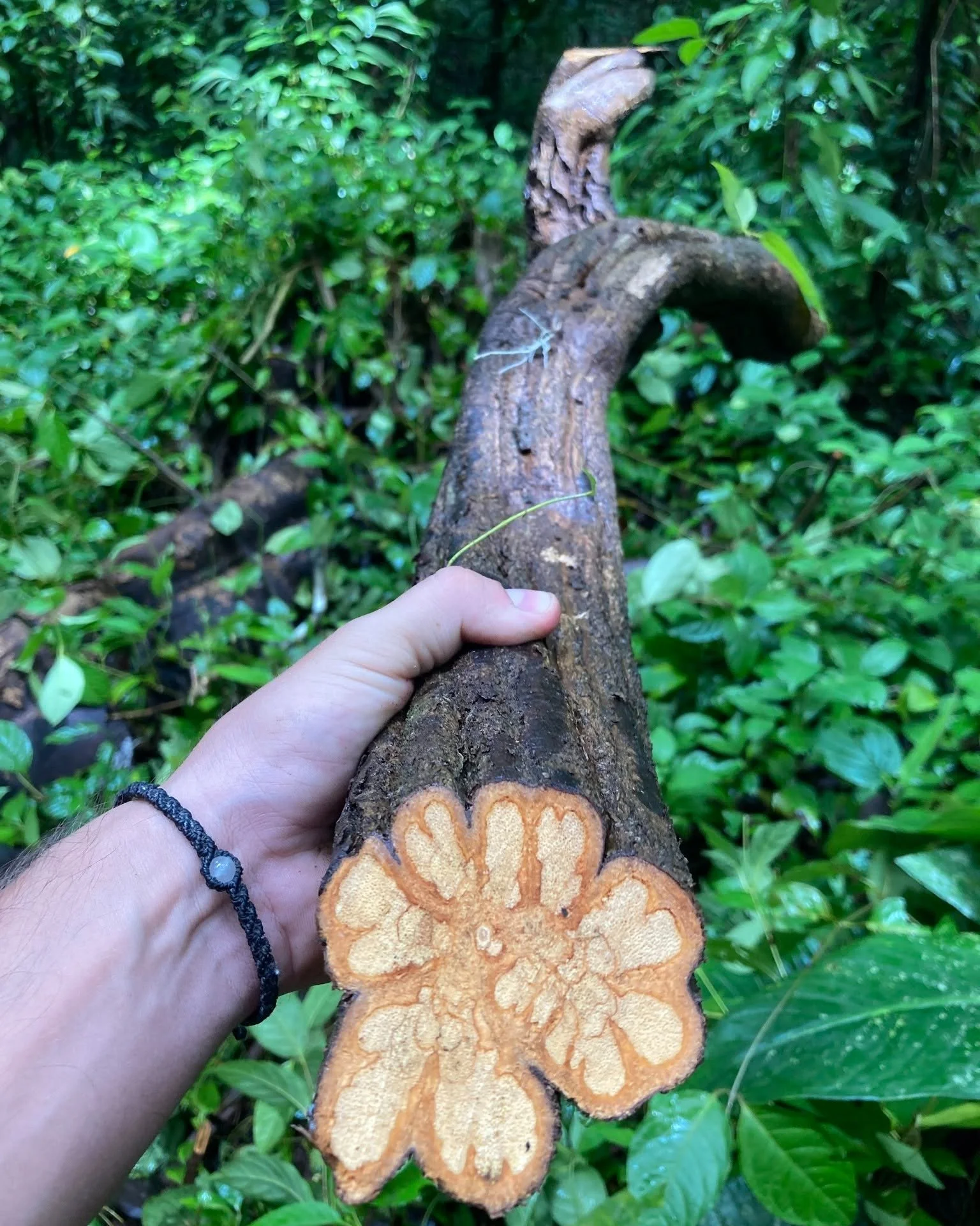 Much is said about centers and facilitators, but little about travelers. 

If you're attending a retreat, come prepared to navigate complicated moments with respect for the guides and staff, before, during, and after.

Being a good traveler means tak
