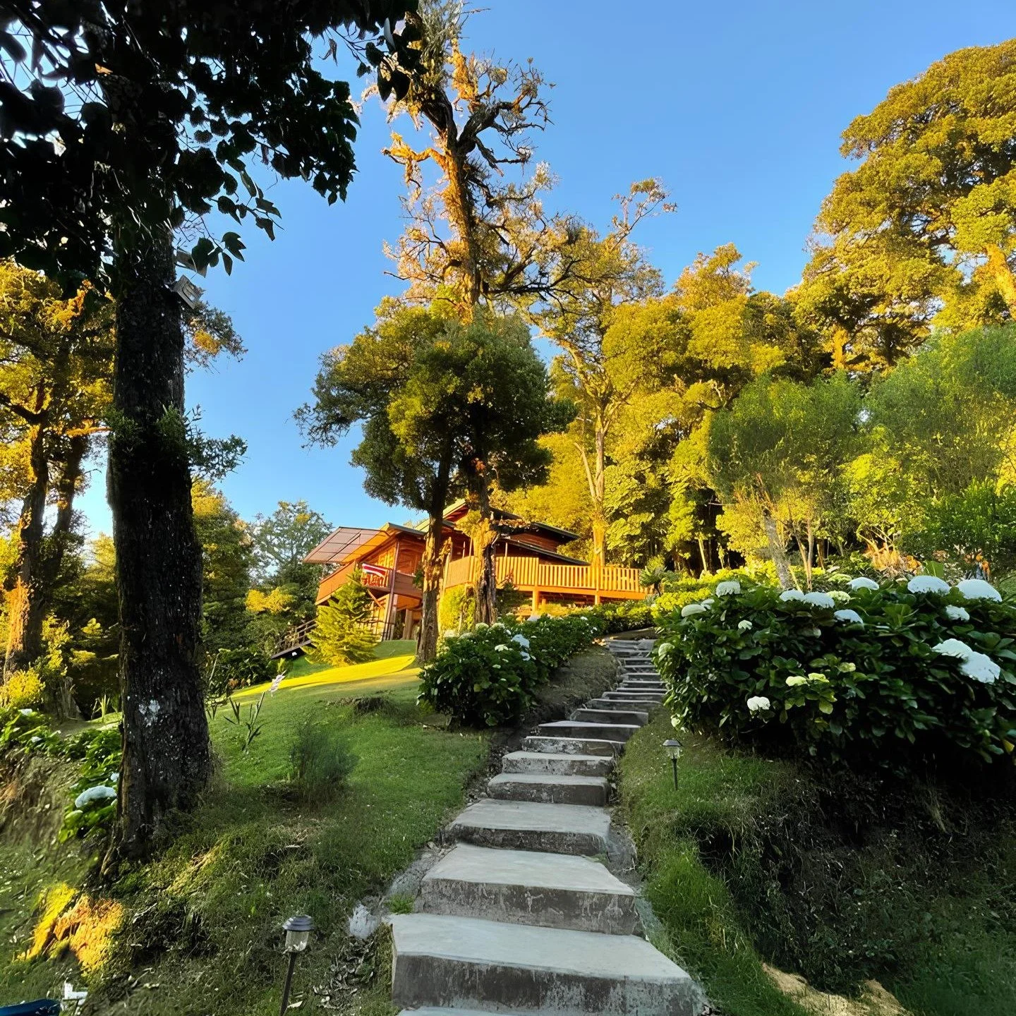 There are moments in life when we feel the quiet call to begin again.
Our move to San Jos&eacute; de la Monta&ntilde;a, in the highlands of Heredia, was one of those moments.

We followed the winding roads upward, leaving behind the noise of the city