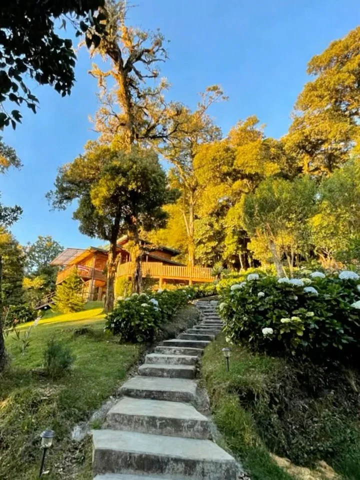 Fully Private Plant Medicine Retreats &mdash; 4 or 7 Days, Multiple Ceremonies 🌿

High in the mountains of San Jos&eacute; de la Monta&ntilde;a, Heredia &mdash; 45 minutes from San Jos&eacute; International Airport &mdash; an all-wood architectural 