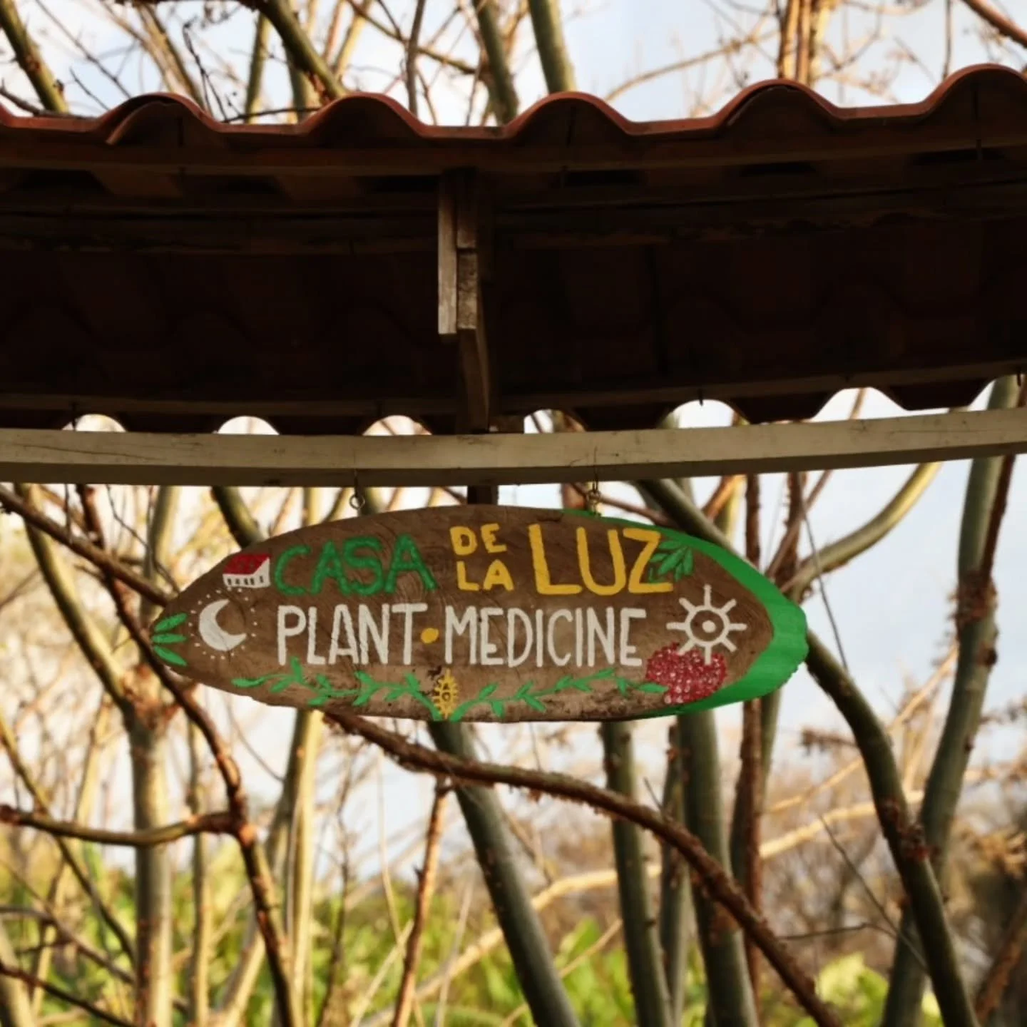 Shared ceremonies are back at Casa de la Luz.

We&rsquo;re sharing the medicine in a group again, Saturdays and Sundays from November 2026 to May 2027, on a fixed schedule. Book one night or both.

🌙 Small, intimate groups of up to 4 people

🛏️ Pri