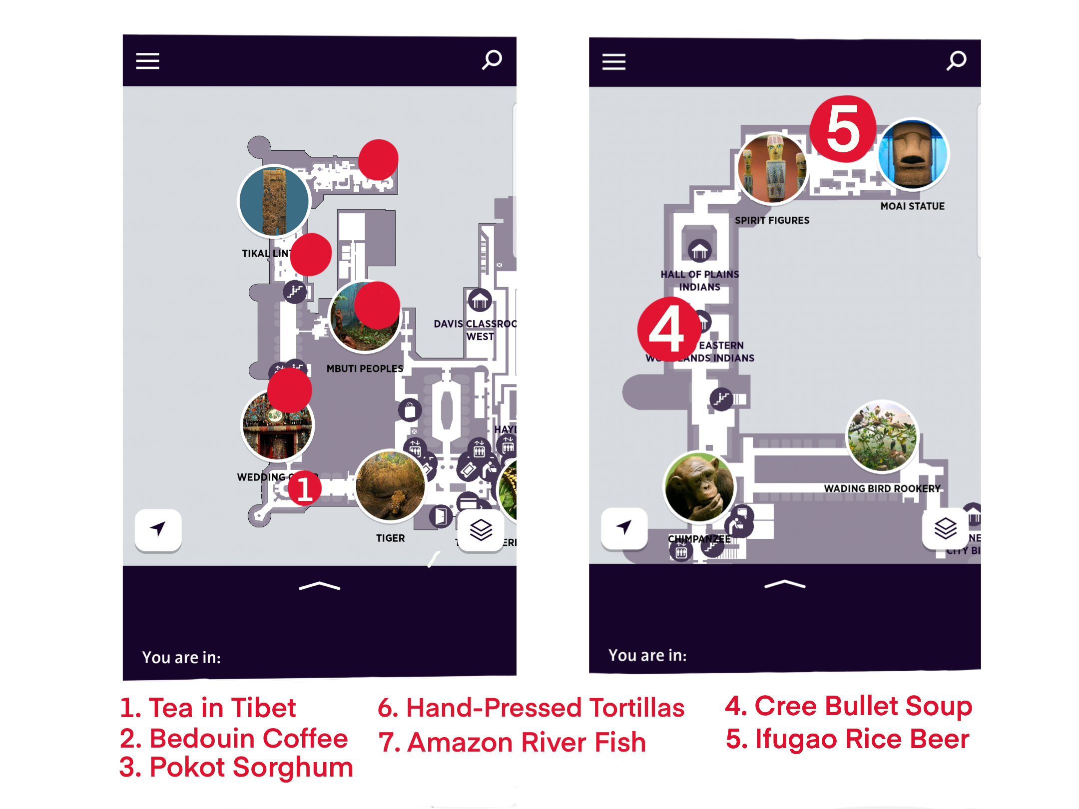 User Experience Flow (IRL).png