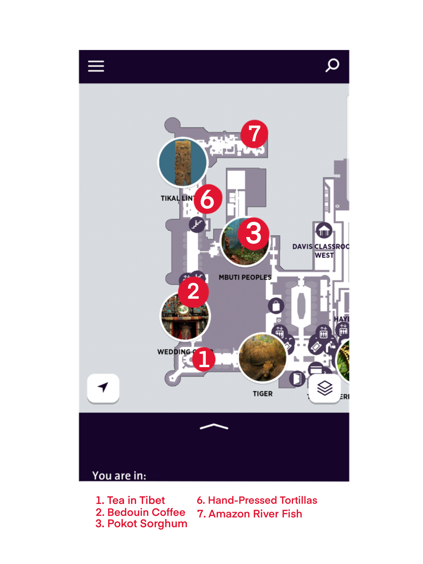 User Experience Flow (IRL)1.png