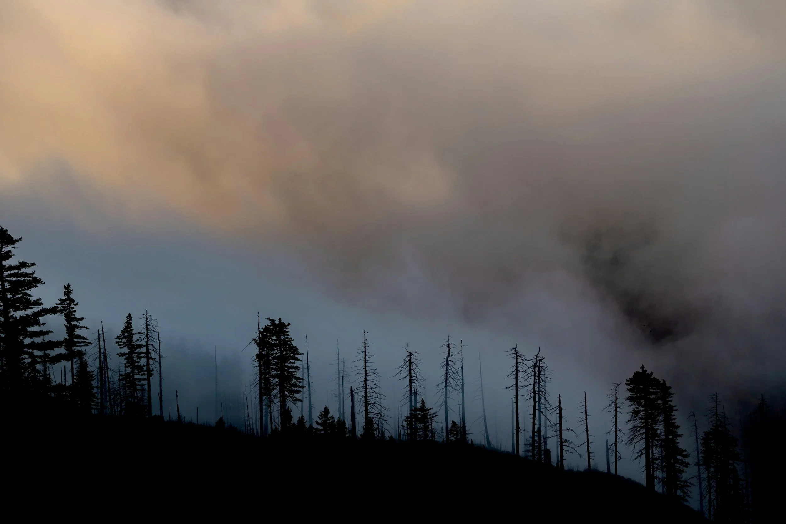 Supporting Your Body Through Wildfire Smoke