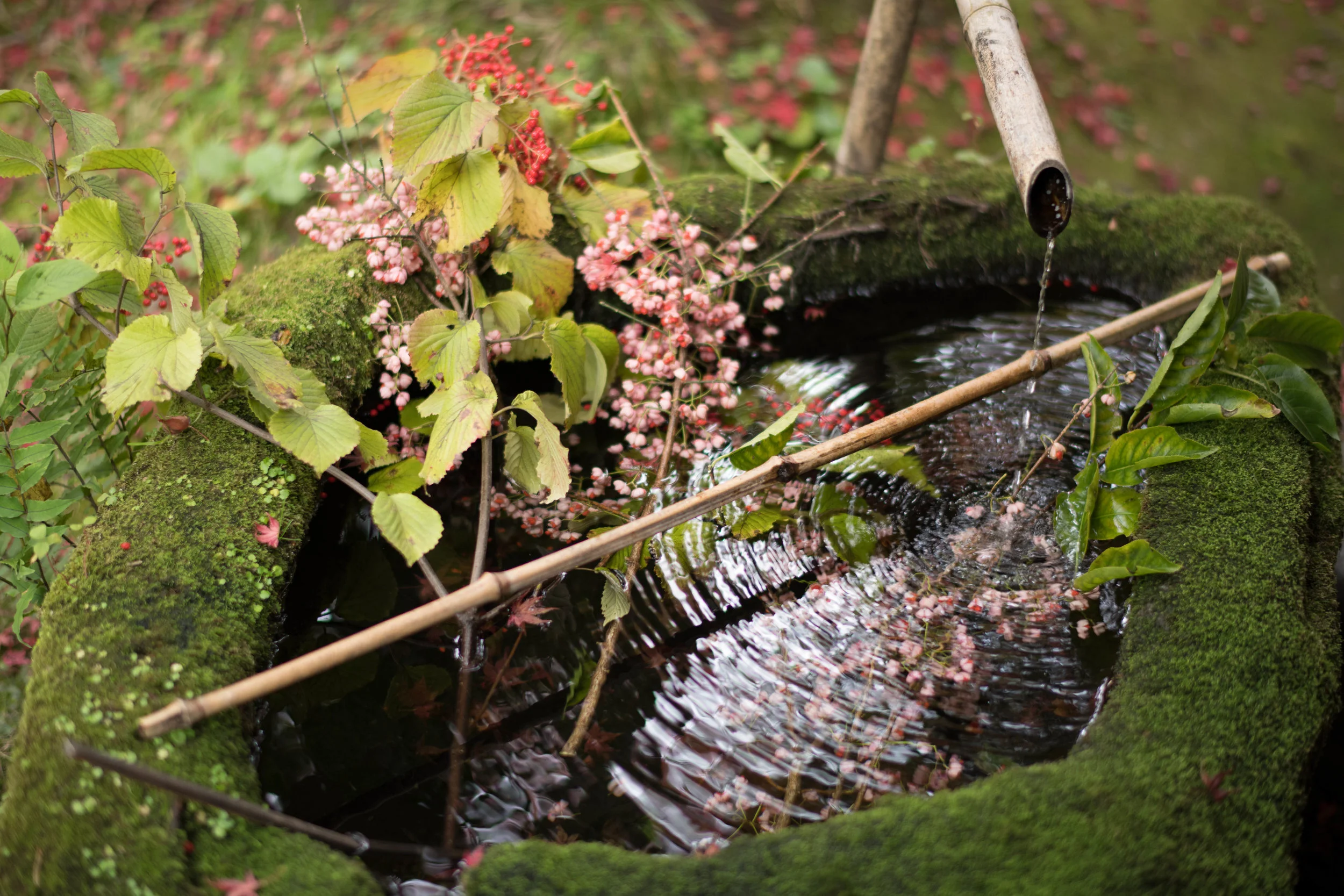 'Water Gardens' (Seaside Magazine - April 2017)