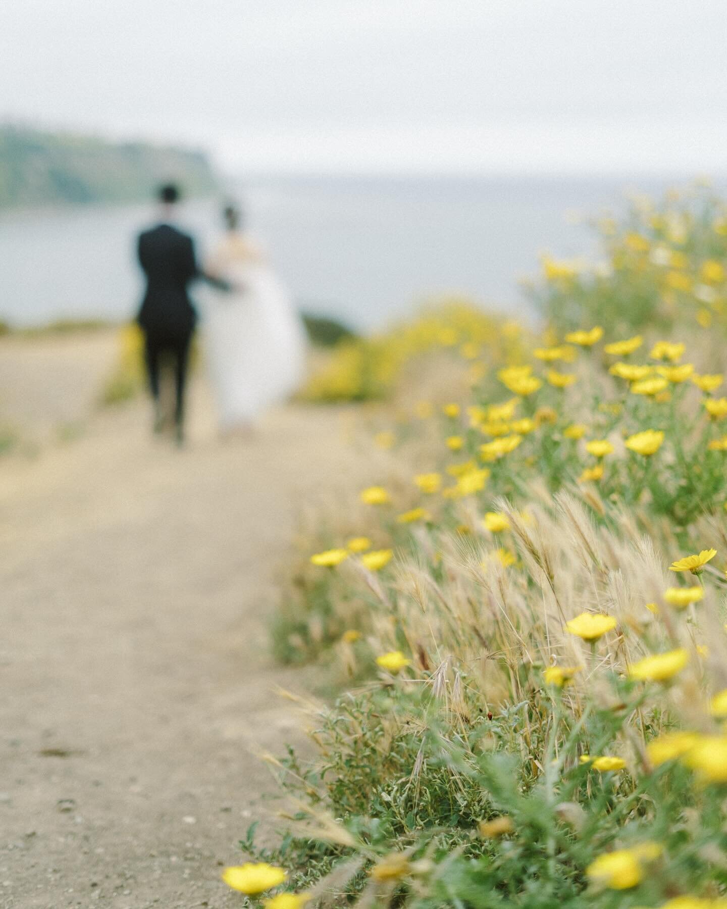 the superbloom from earlier this year 🥹

venue: @laventainn_pv 
catering: @madebymegcatering 
coordinator: @hiphiphooray.love 
photo: @perpixelphoto 
video: @memocofilms 
floral: @b.ju_floral 
dj: @voxdjs 
cake: @portosbakery 
coffee: @thankyou_coff