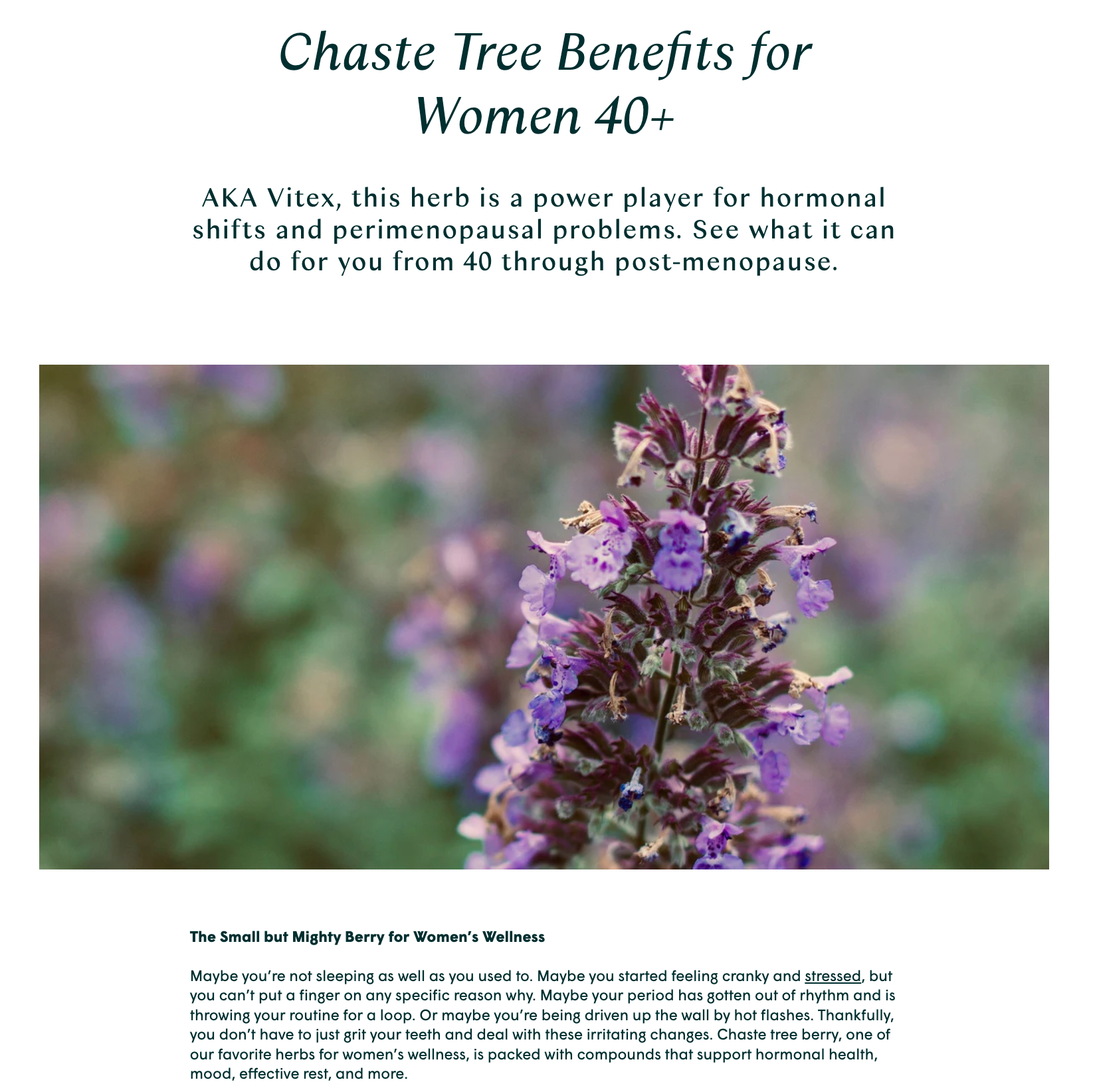 Chaste Tree Benefits for Women 40+