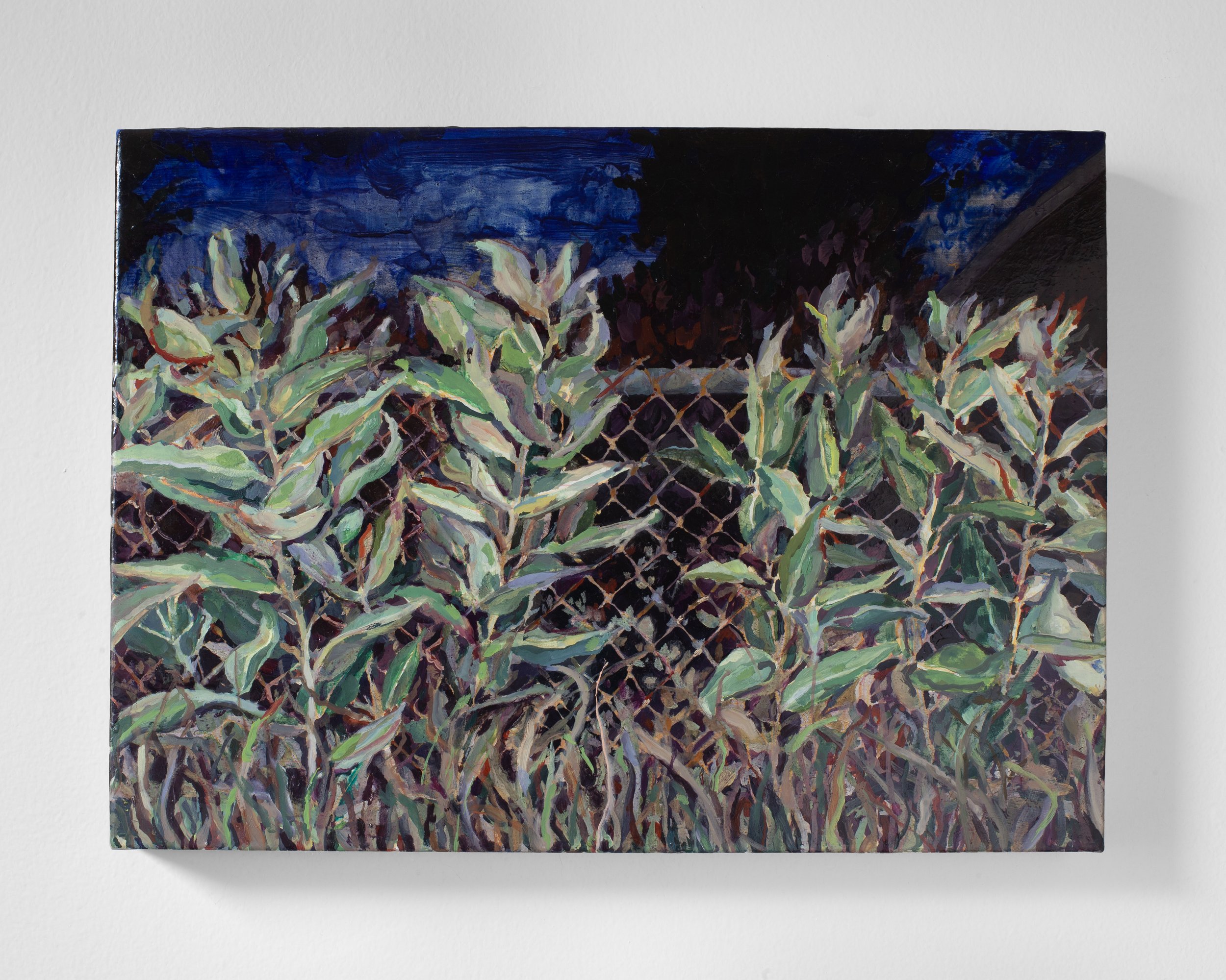 Don’t mow the grass; don’t burn the weeds; don’t prune the trees , oil on panel, 11 × 15”
