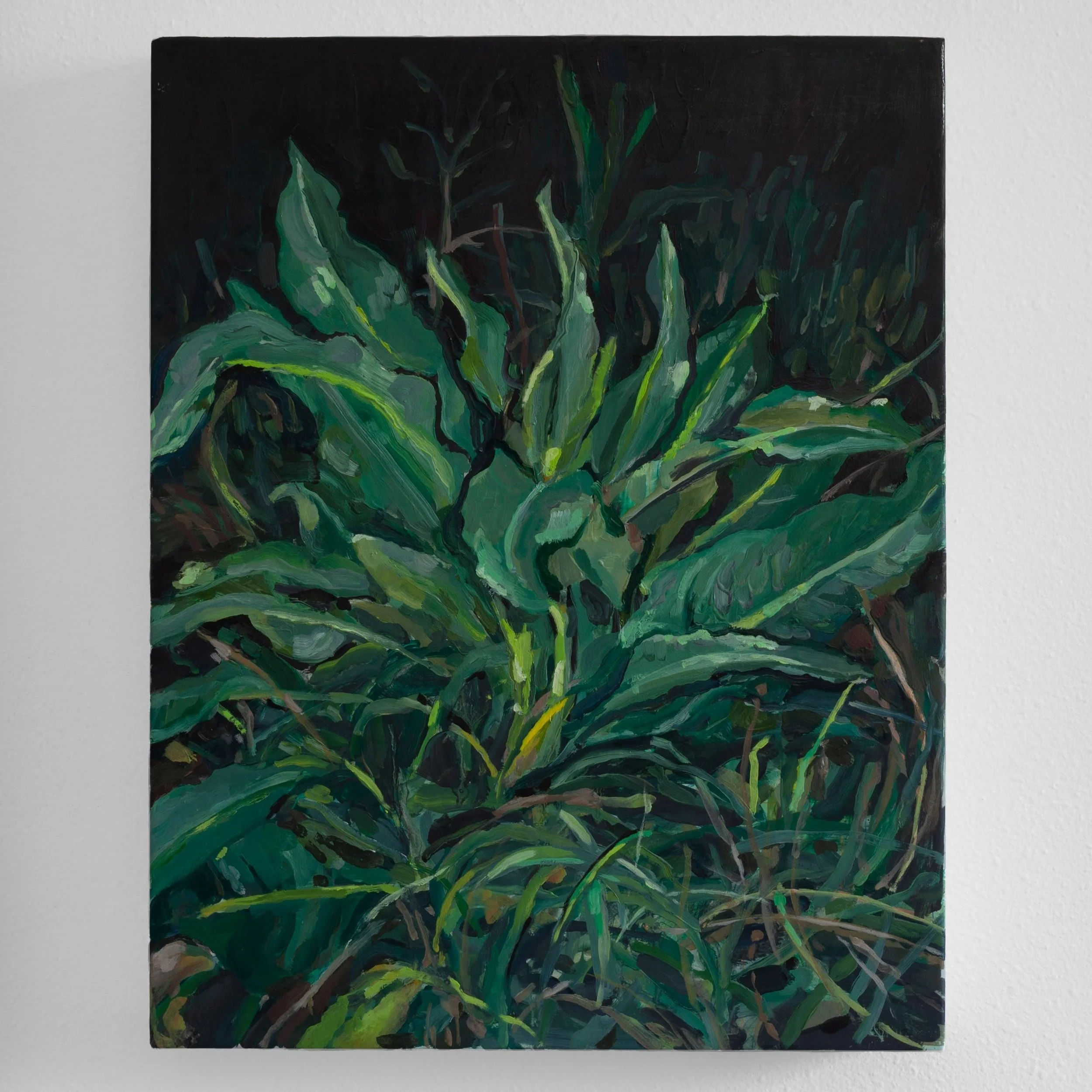   The Violent Tangle,  2021, oil on panel, 15 × 11 inches 