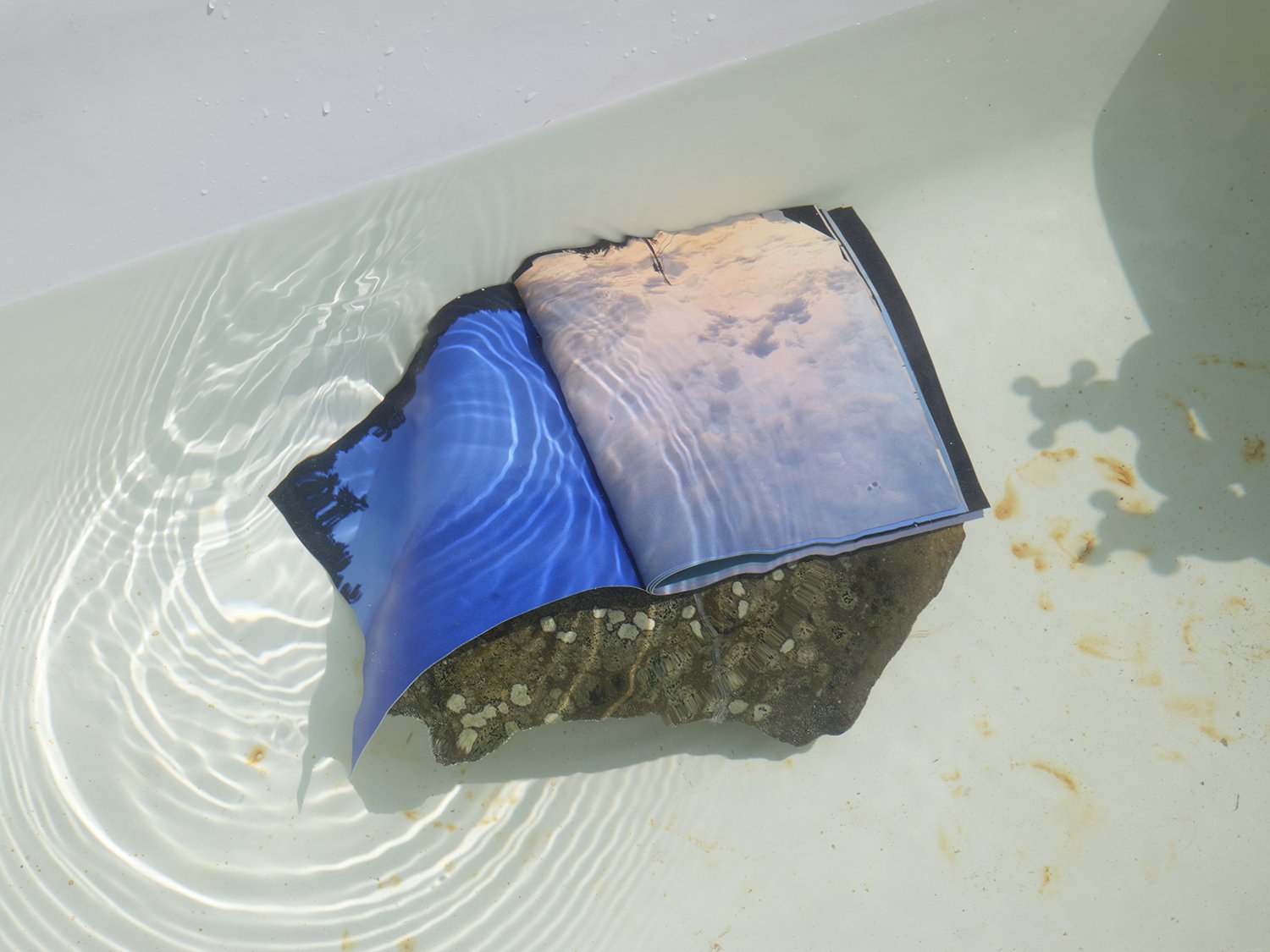 DSCF8214.jpg