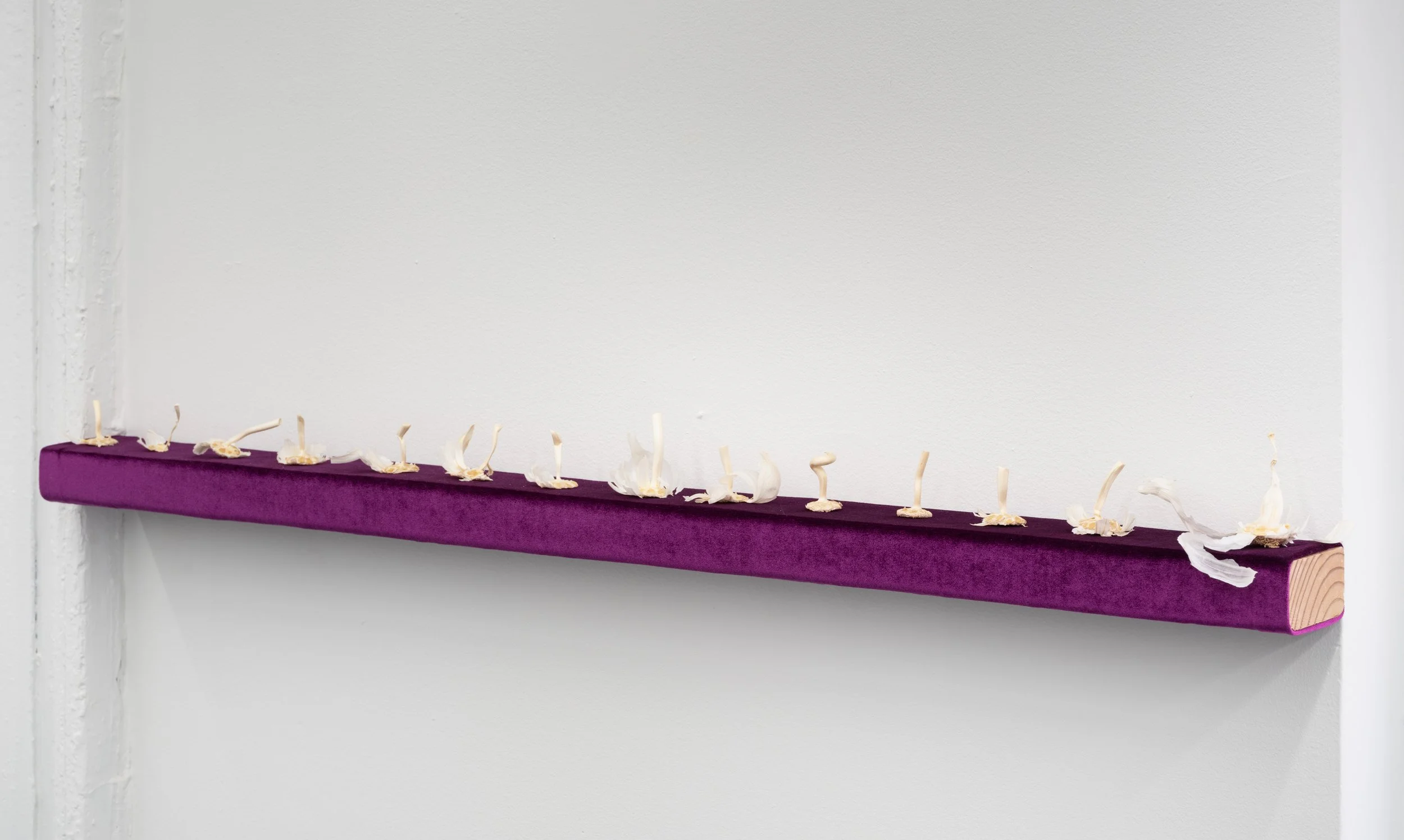 KWG Janowick_Swan Song, 2023-ongoing, V4.jpg