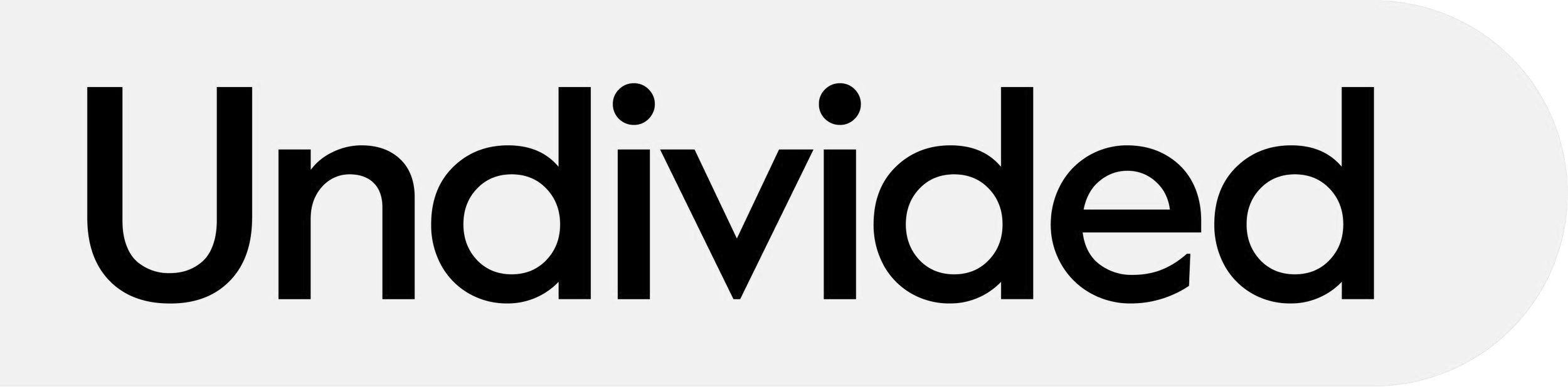 02-Undivided-Logo-HiRes.jpg