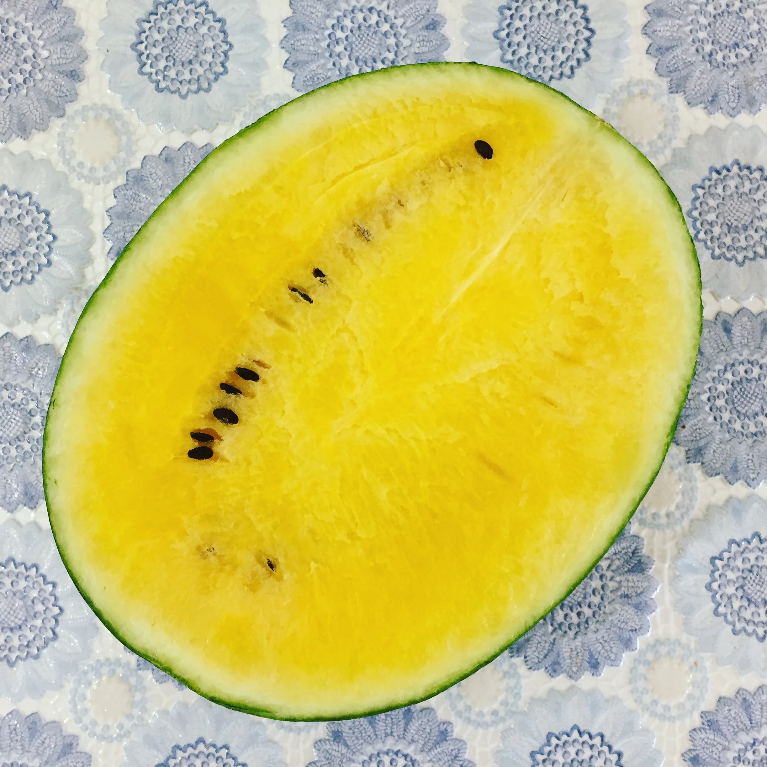 watermelon.JPG