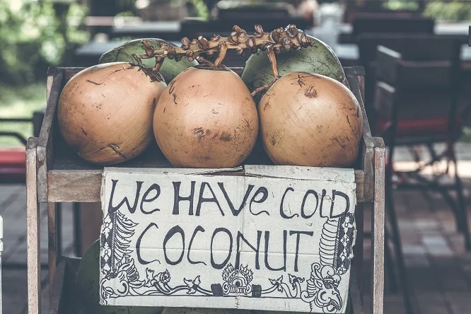 thai-coconuts-yoga-teacher-training.jpg