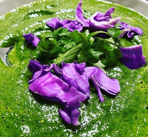 healing-foods-retreat-spinach-soup.jpg