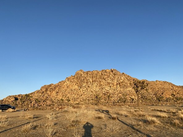 diaita-yoga-retreat-with-joshua-tree-national-park-hike.jpg