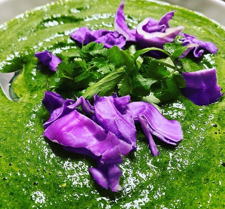 panama-city-beach-yoga-retreat-spinach-soup.jpg