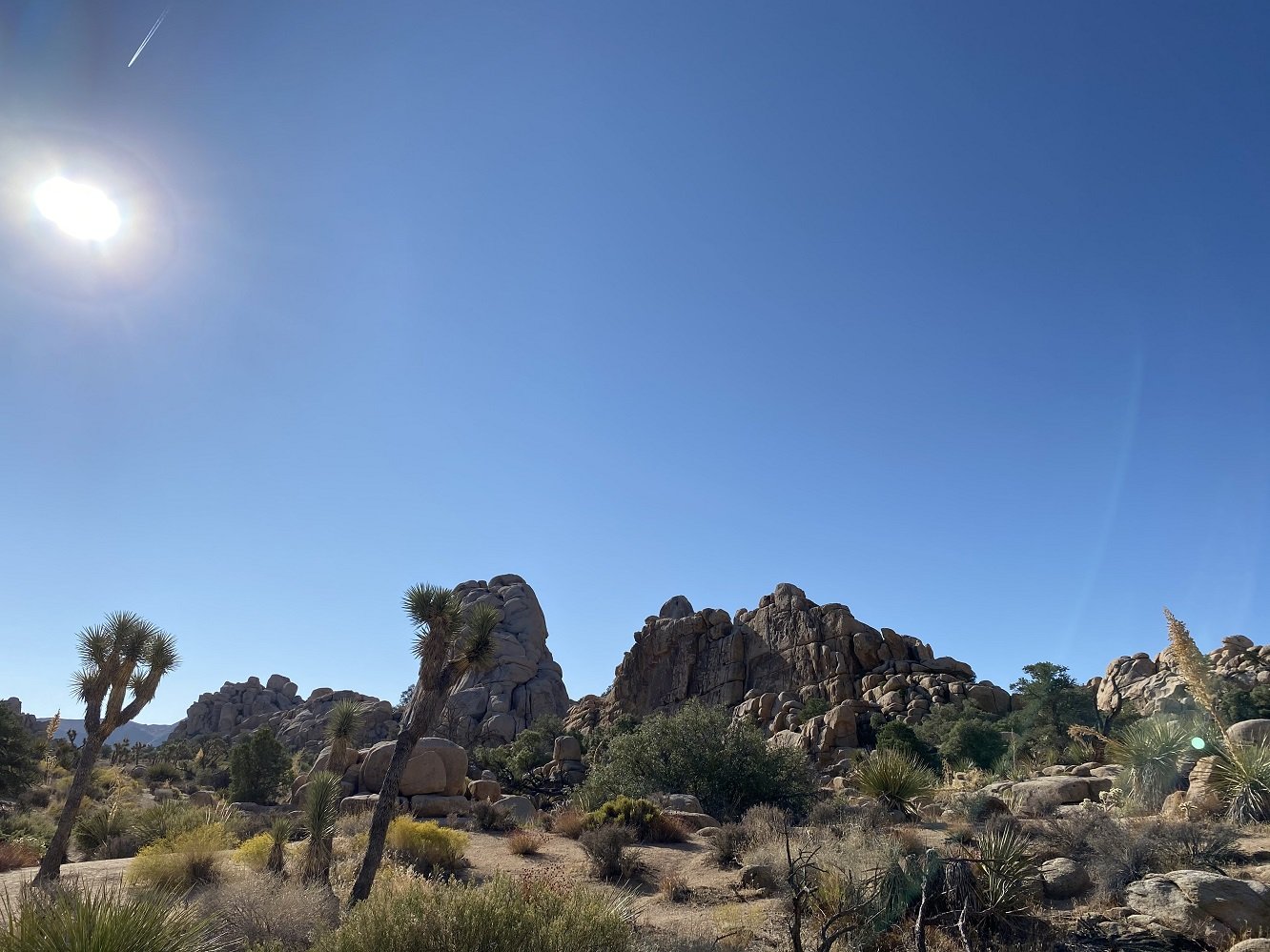 2 day Yucca Valley yoga retreat at Joshua Tree National Park