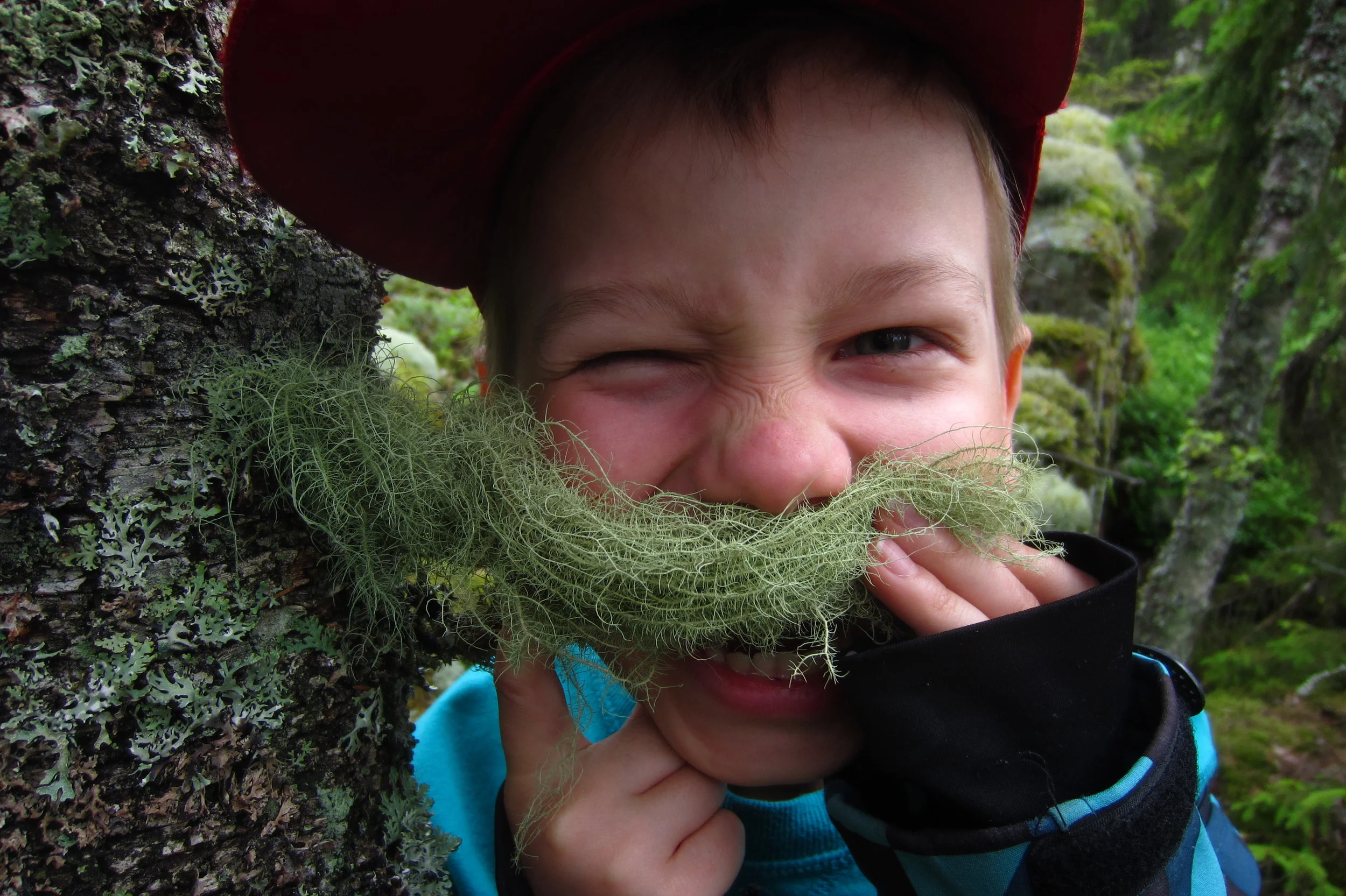                    Individual trips with local guides. 1-8 person small groups All trips are guided in English. 