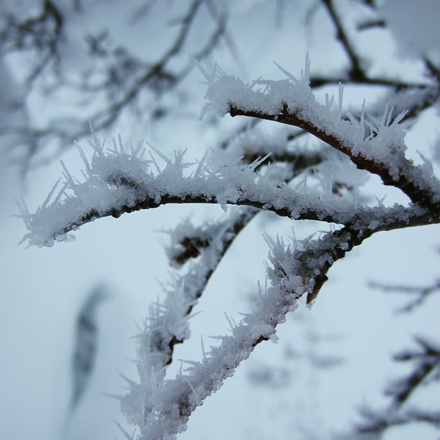 Sharp snow spikes made by winter #minus30degrees #snowspikes #lomitravels #lominaturetravels 
#visitfinland #finnishwinter #beautyofnature #winter #winternature #snowformations #visithelsinki 
#myhelsinki #explorefinland #finland #helsinki
