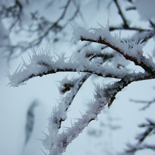 Sharp snow spikes made by winter #minus30degrees #snowspikes #lomitravels #lominaturetravels
#visitfinland #finnishwinter #beautyofnature #winter #winternature #snowformations #visithelsinki
#myhelsinki #explorefinland #finland #helsinki