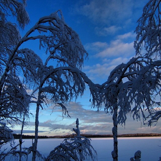 #magicalblue #magicalbluelight #lomitravels #lominaturetravels 
#visitfinland #visithelsinki 
#myhelsinki #explorefinland #finland #finlandnature
#finnishnature
#finlandnaturally 
#bestoffinland
#beautyofsuomi
#luontoonfi