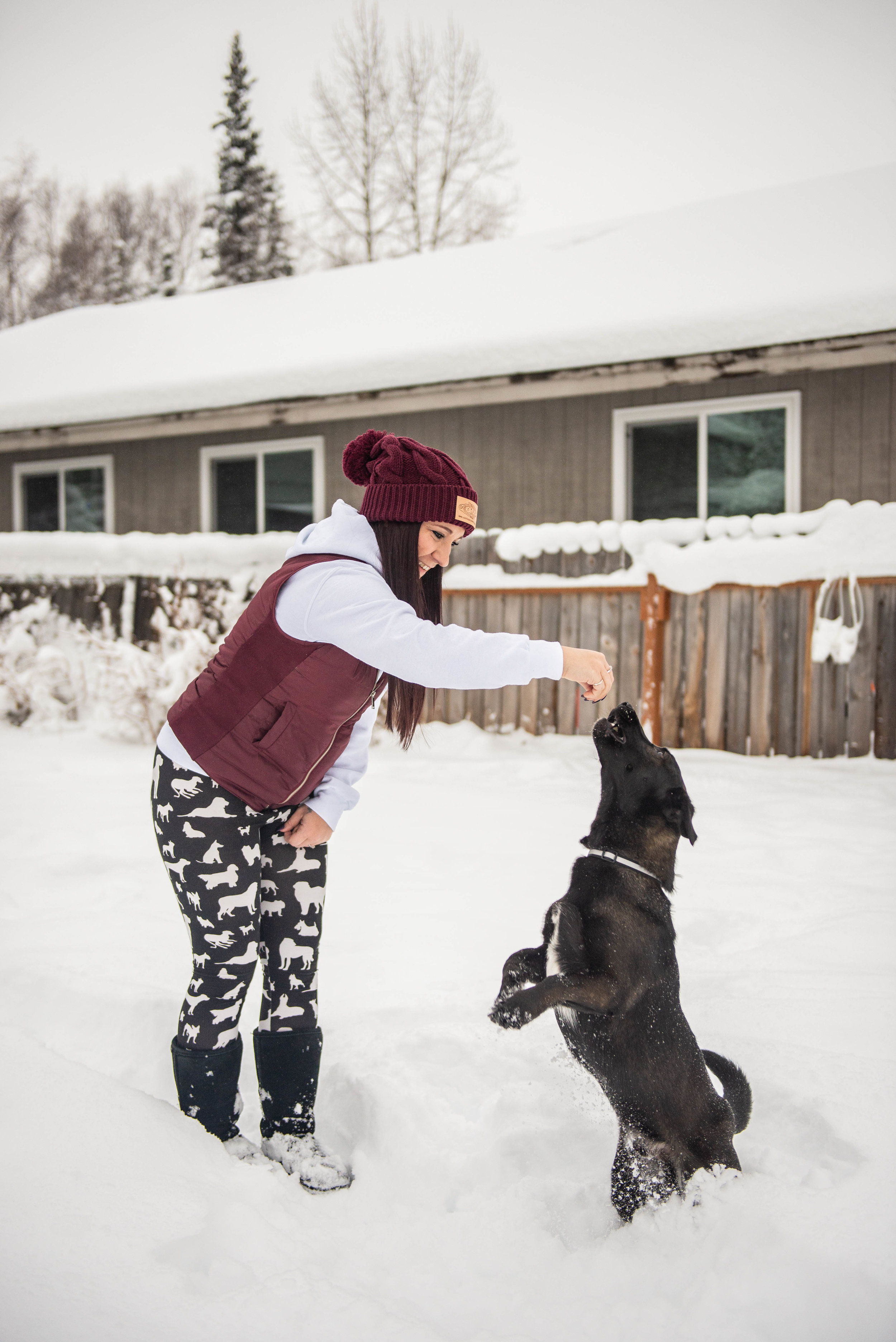 Meredith Berg Photography Anchorage Alaska Dog Pet Photographer Melissa Trainer-37.jpg