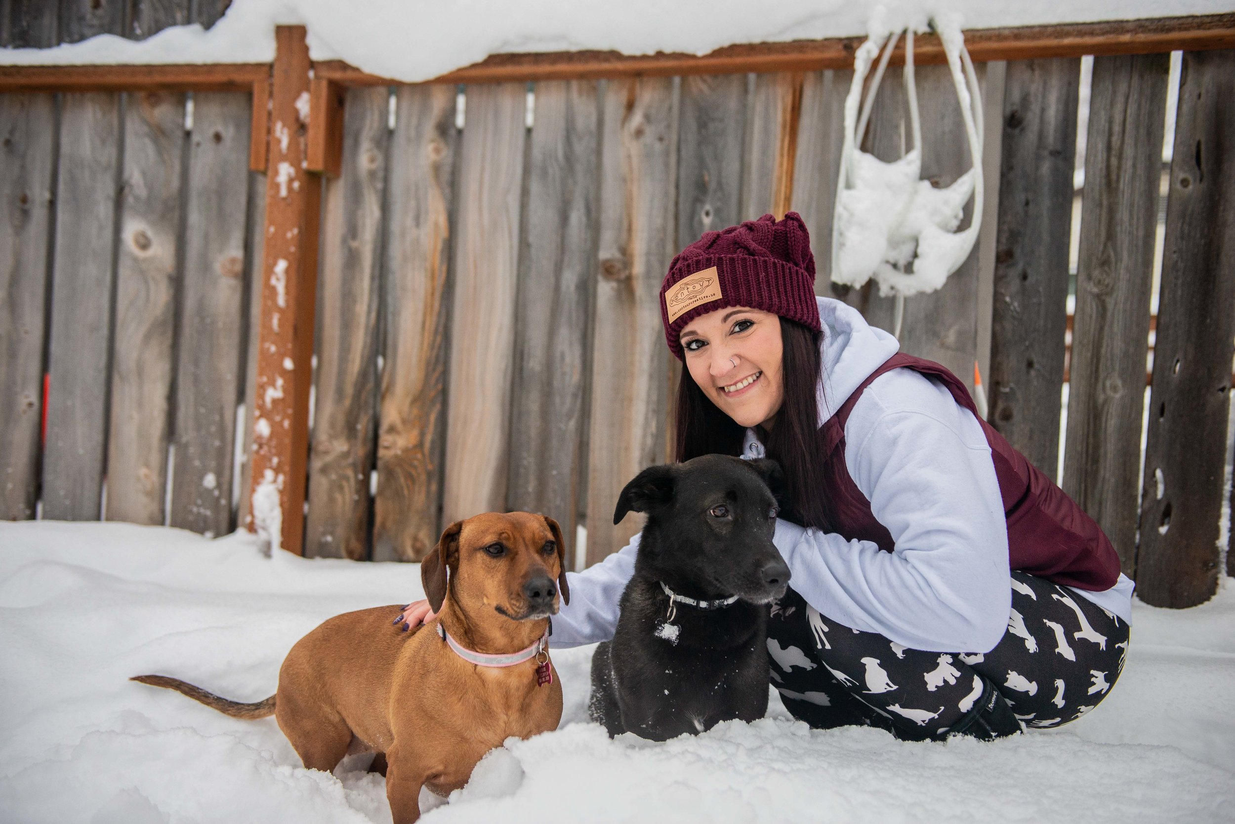 Meredith Berg Photography Anchorage Alaska Dog Pet Photographer Melissa Trainer-101.jpg
