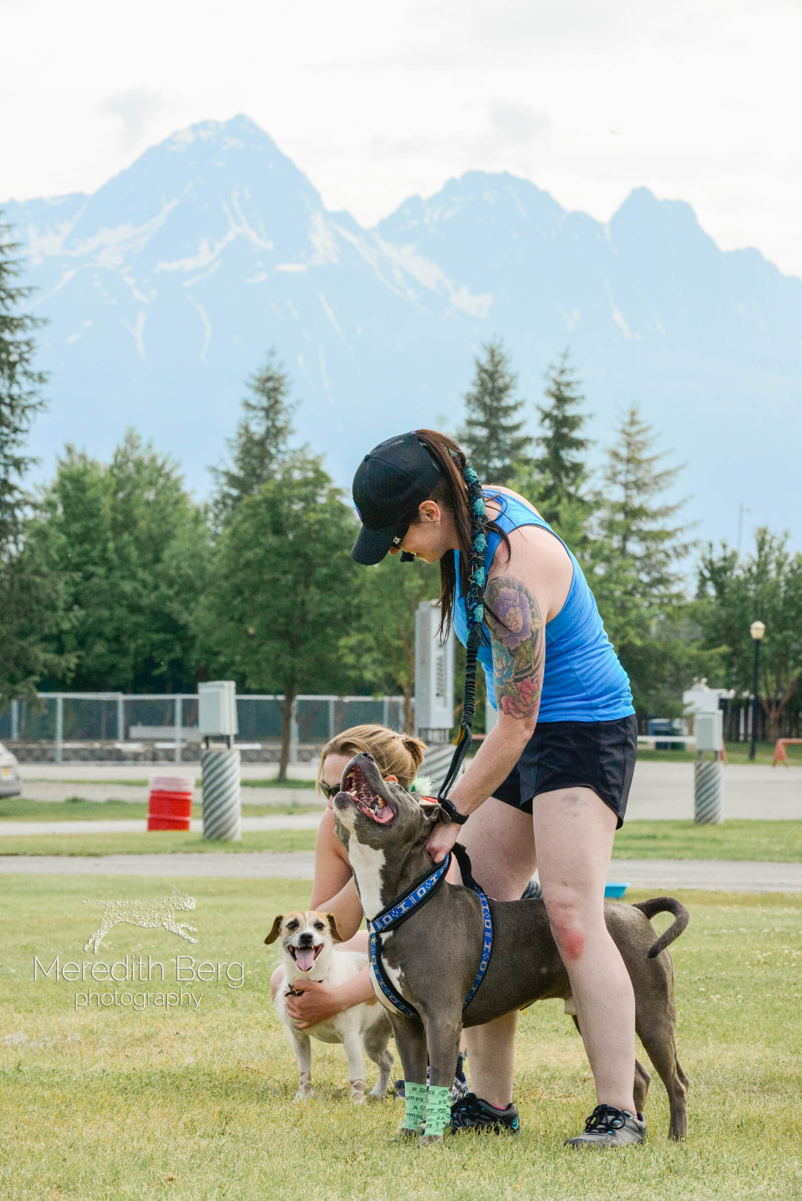 Meredith Berg Photography Anchorage Alaska Dog Pet Photographer untitled_MBP5339-2.jpg