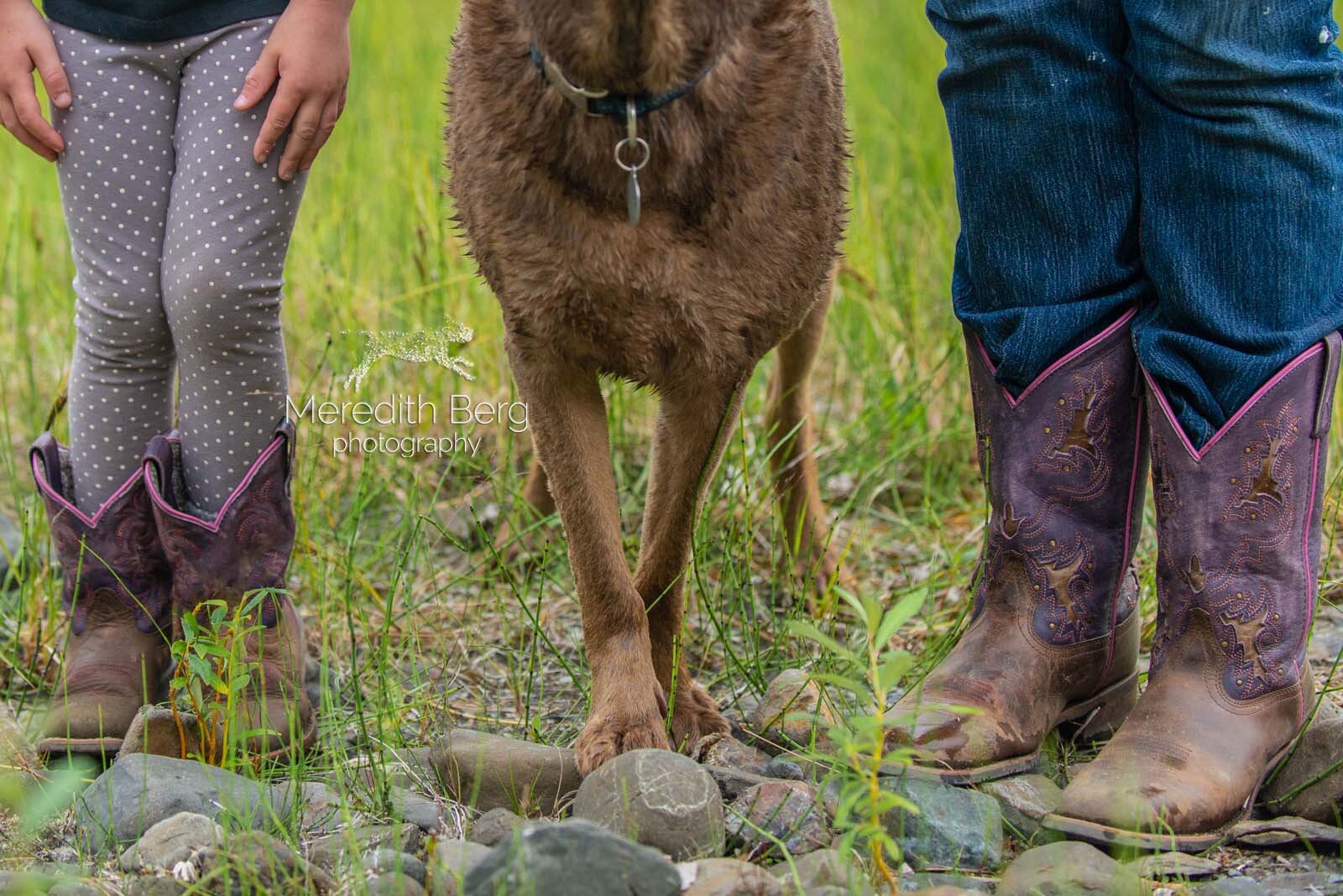 Meredith Berg Photography Anchorage Alaska Dog Pet Photographer Zeus Husky Mix_MBP0101-2-Edit.jpg