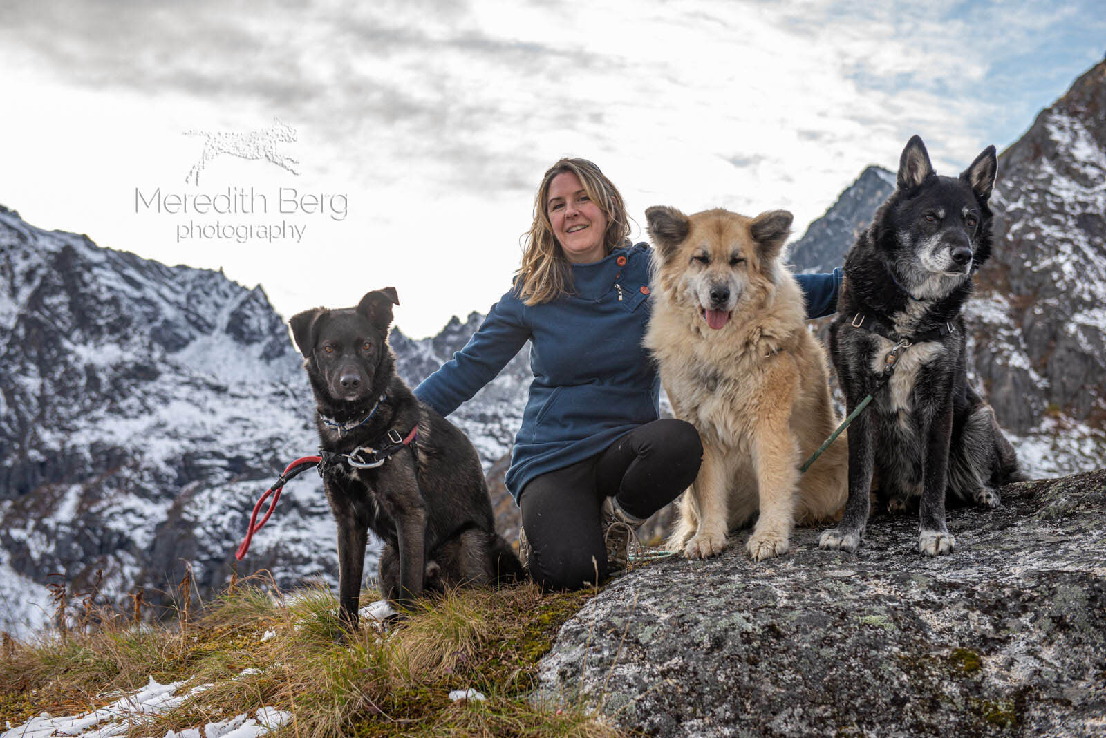 Meredith Berg Photography Anchorage Alaska Dog Pet Photographer Husky Mixes Mountain Mutts 2.jpg