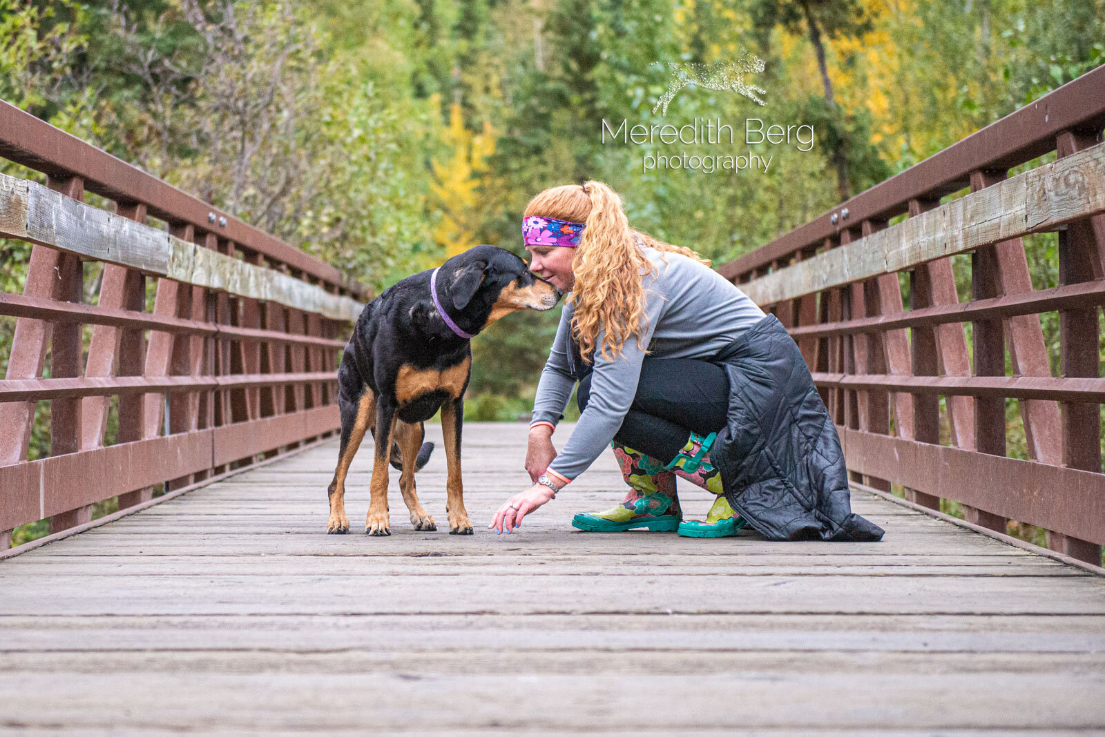 Meredith Berg Photography Anchorage Alaska Dog Pet Photographer Lacey Doberman Mix18.jpg