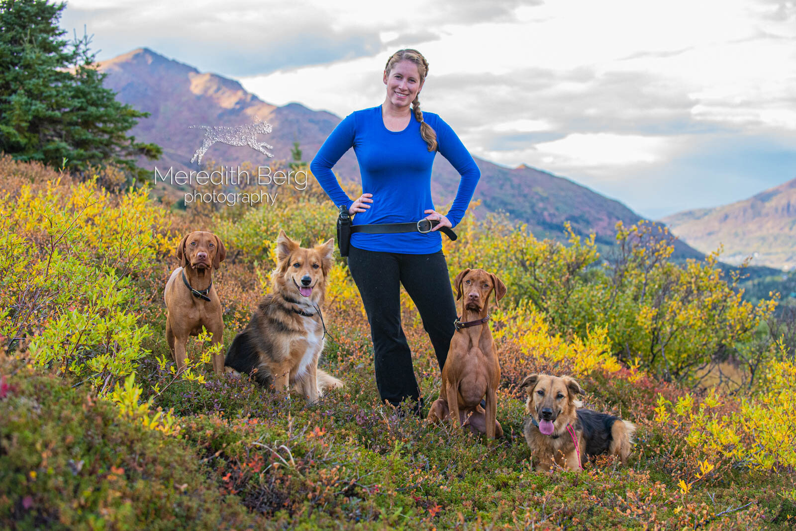 Meredith Berg Photography Anchorage Alaska Dog Pet Photographer Vizsla Shepherd Rescue Mixes-3.jpg