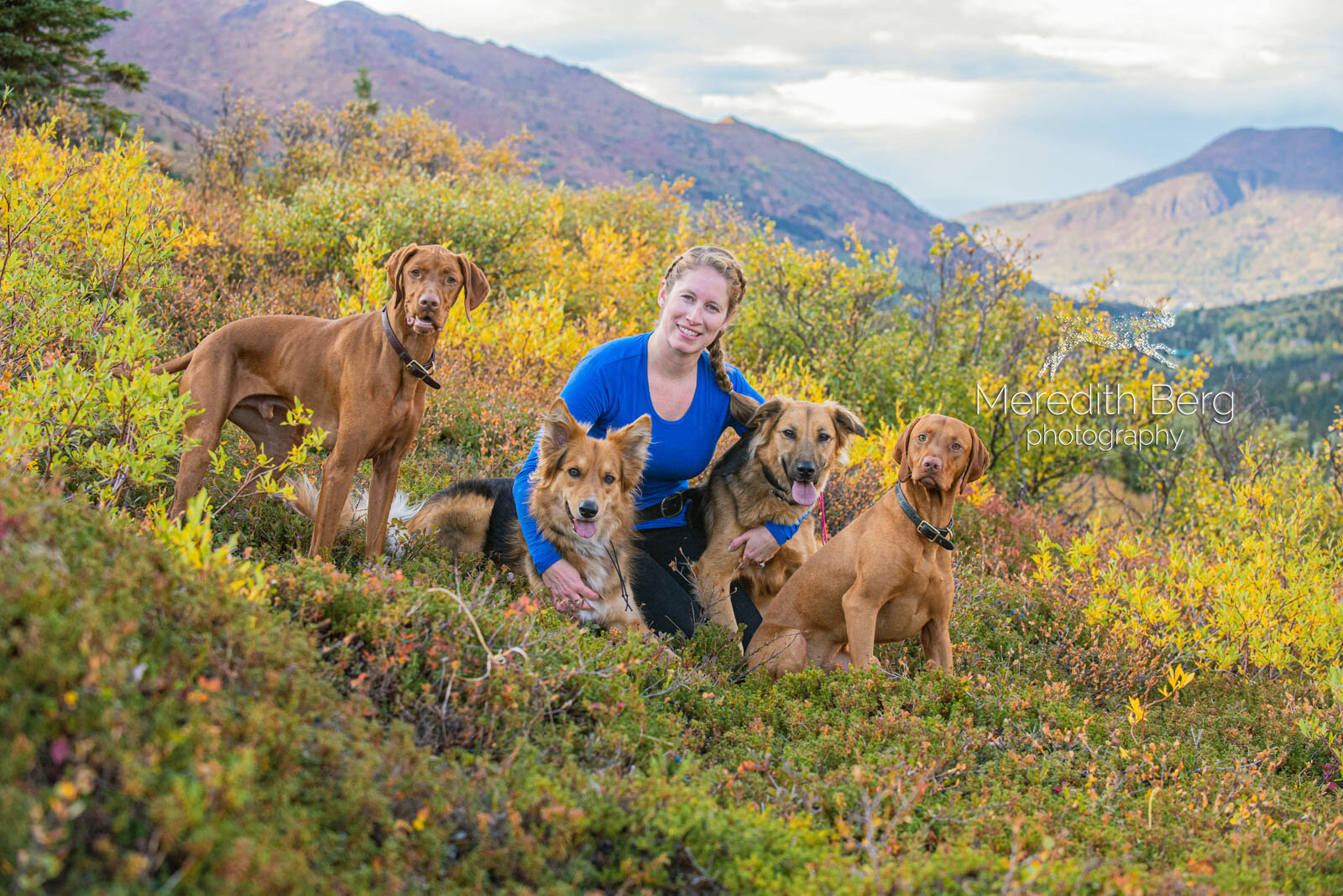 Meredith Berg Photography Anchorage Alaska Dog Pet Photographer Vizsla Shepherd Rescue Mixes-4.jpg