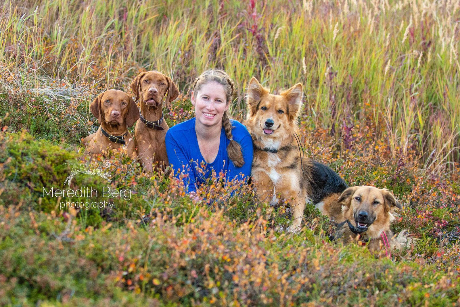 Meredith Berg Photography Anchorage Alaska Dog Pet Photographer Vizsla Shepherd Rescue Mixes-6.jpg