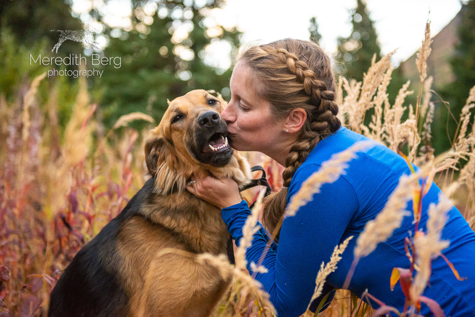 Meredith Berg Photography Anchorage Alaska Dog Pet Photographer Vizsla Shepherd Rescue Mixes-10.jpg