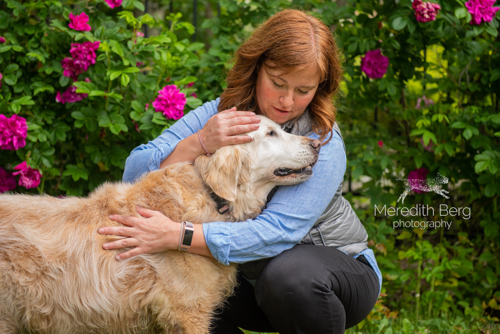 Meredith Berg Photography Anchorage Alaska Dog Pet Photographer Golden Retriever Shelby_MBP8706-2.jpg