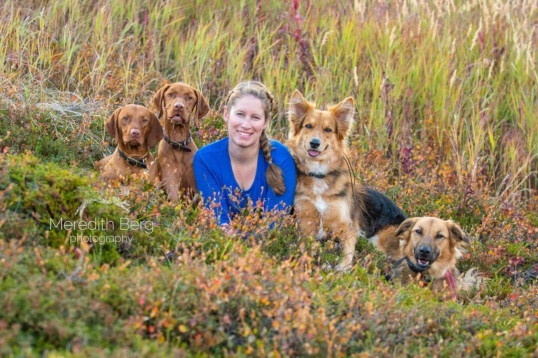 Is #FourDogFriday a thing? Well, I guess it is for today! These four pups are Kila, Zya, Bimmer and Nikon with their human, Stephanie. We did a session together last fall and I was totally blown away by these four dogs. Stephanie has worked so much w