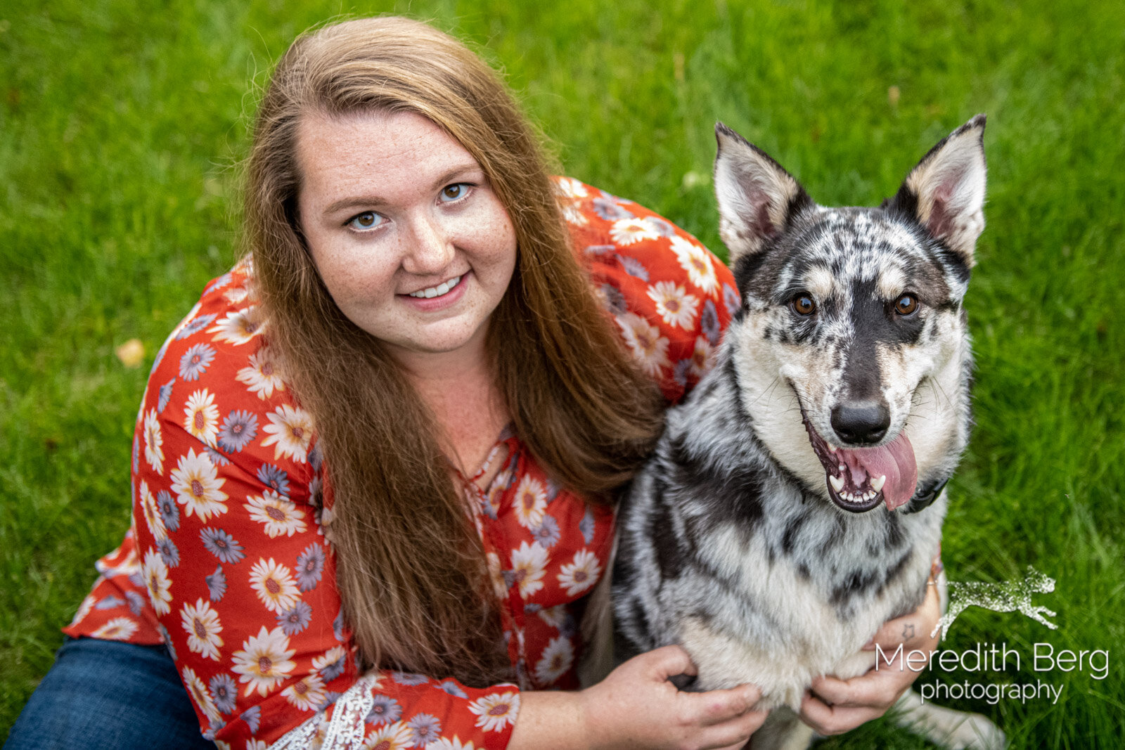 Meredith Berg Photography Anchorage Alaska Dog Pet Photographer Merle German Shepherd Husky Mix10.jpg