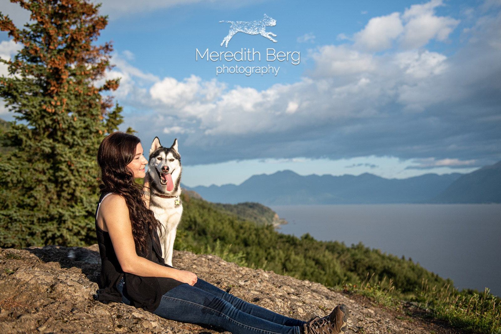 Meredith Berg Photography Anchorage Alaska Dog Pet Photographer Kye Siberian HuskyMBP_3863.jpg