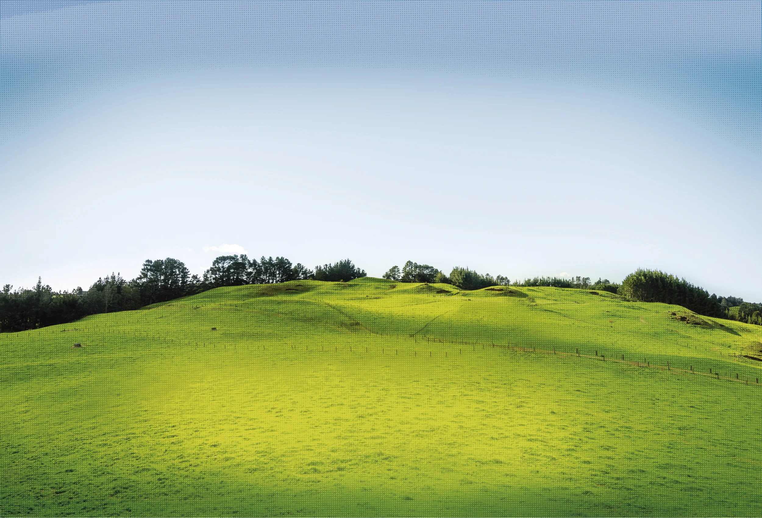 Hill.jpg