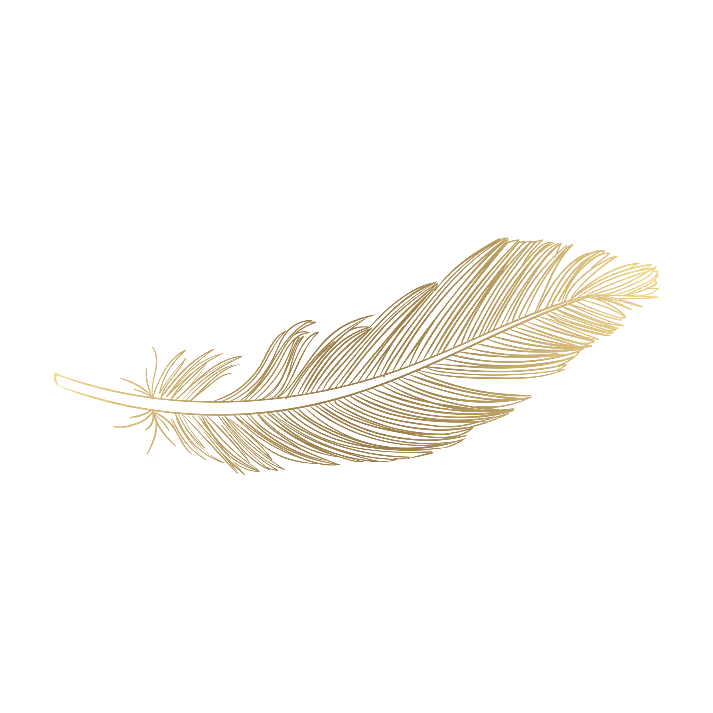 emiy lockhart gold feather.png