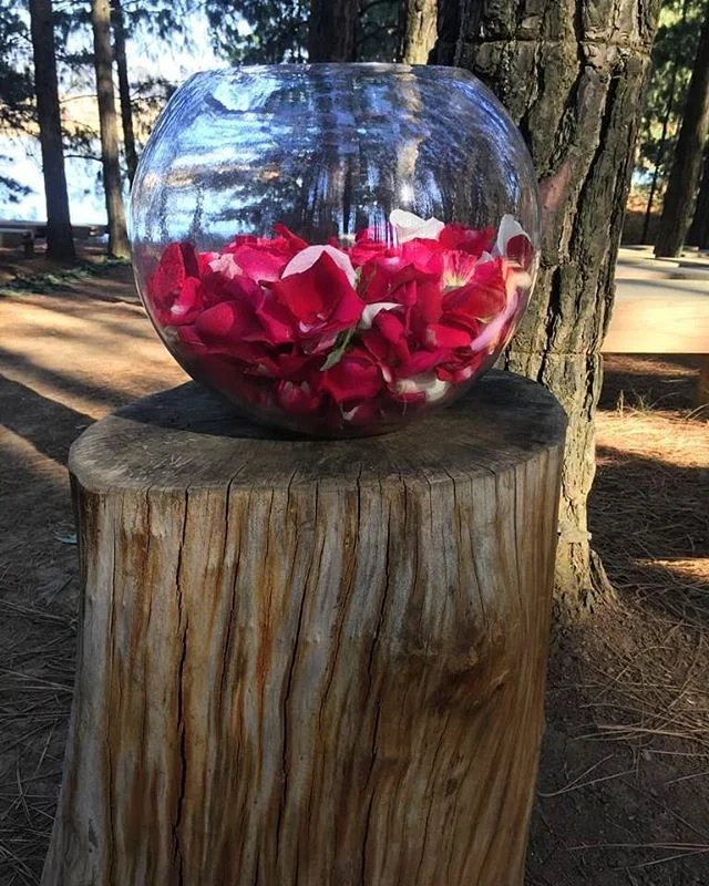 Its a Rosy feel for the Kingsleys Wedding day today @haycroftfarm 🌹🌲🍄🌲 #proteabouquet #ranunculuslove