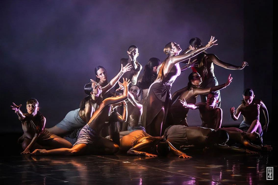 dpicard_photographie_Vevey_danse_spectacle_intropage.jpg