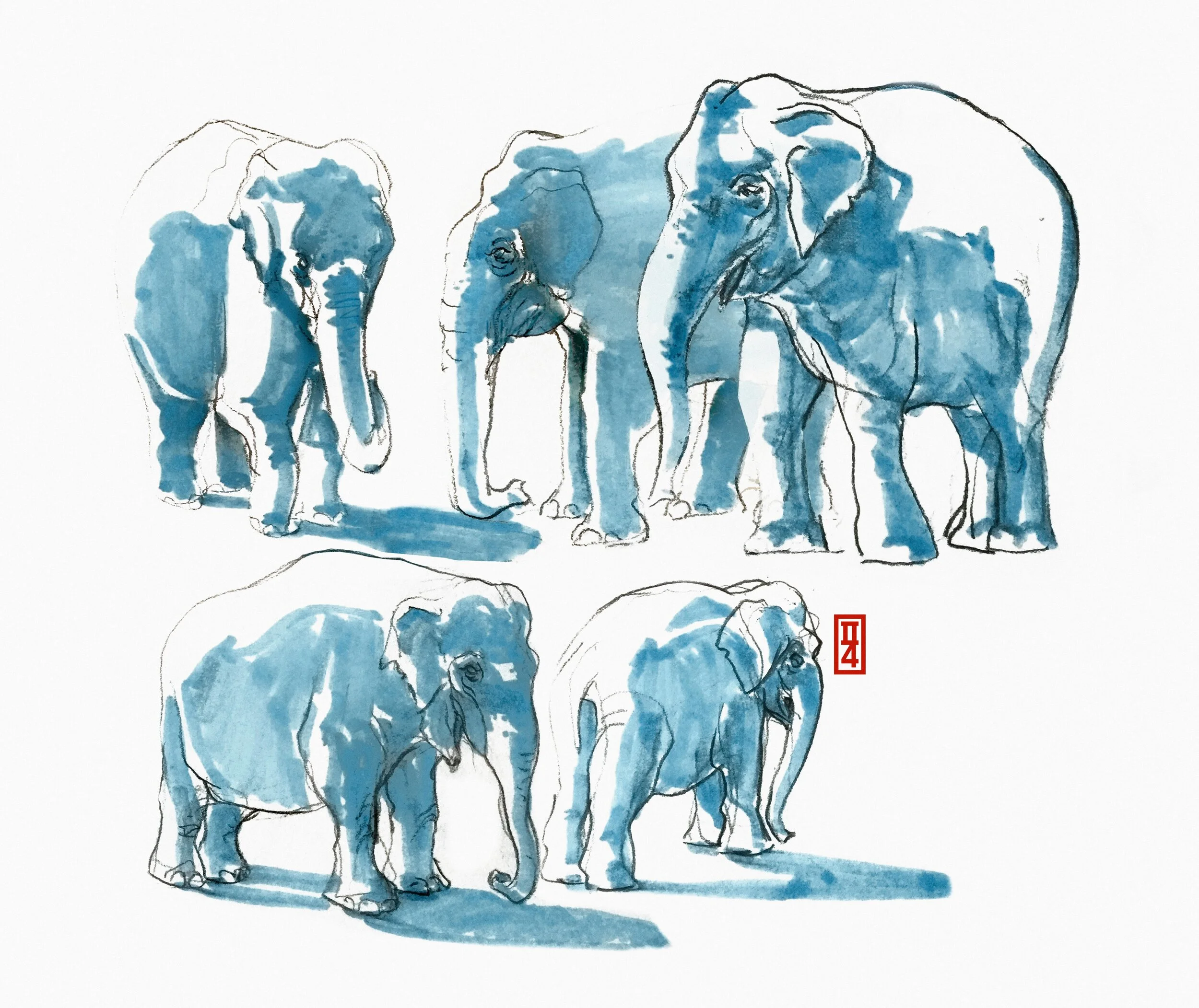 dpicard_elephants_9.4.2019_petite.jpg