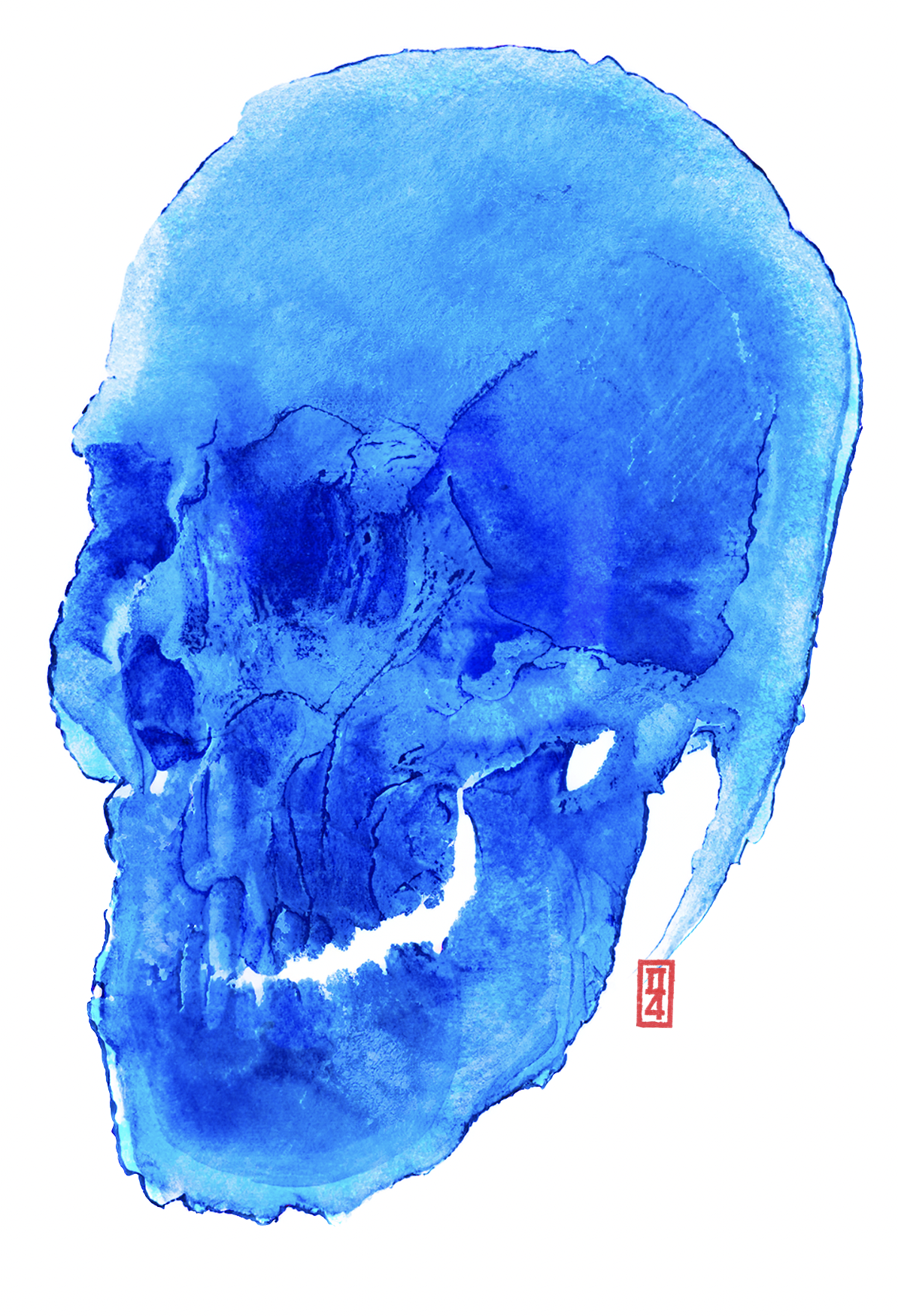 dpicard_graphiste_illustrateur_crane_skull.png