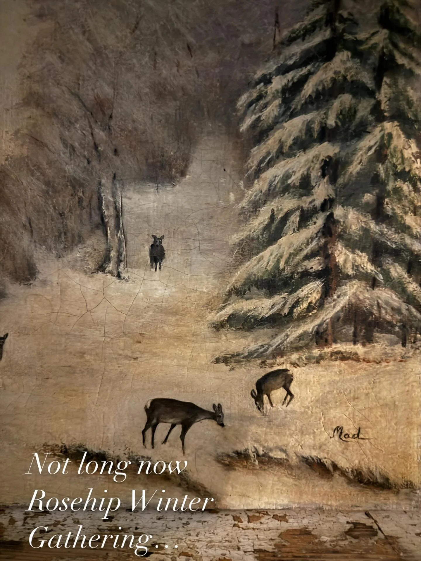 Rosehip Winter Gathering #frenchfinds #handmade #coffeeandcake #meetfriends #rosehipinthecountry