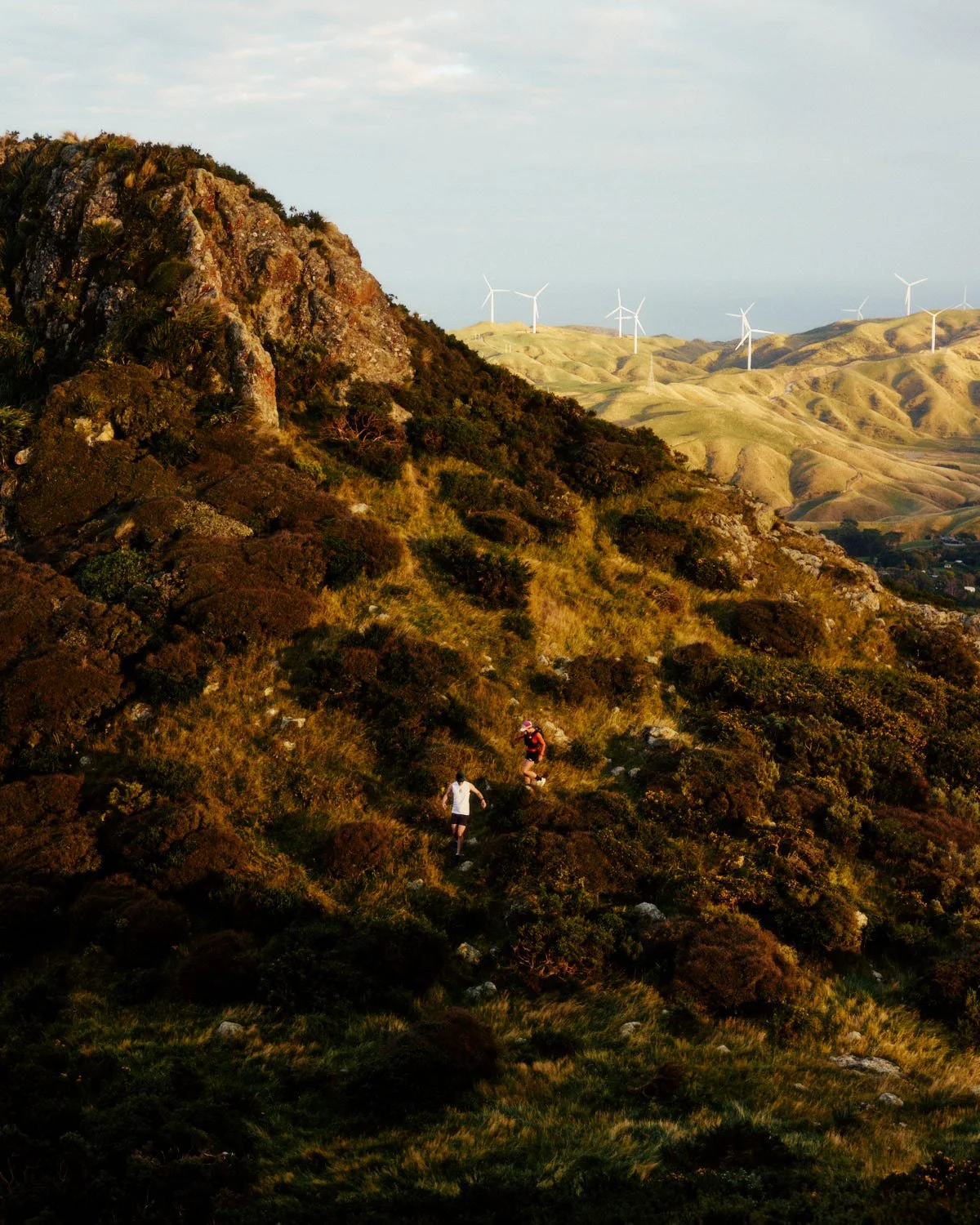 Trail runners on Wellington hillside with wind turbines, commercial sports photography New Zealand