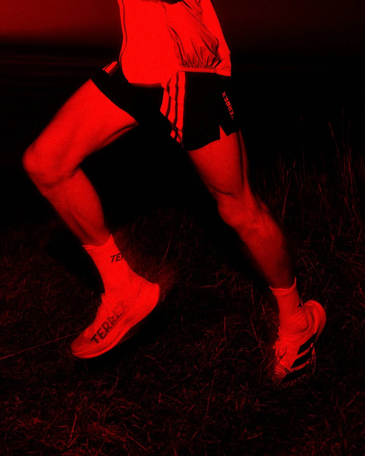 Dan Jones-1064 4.jpg