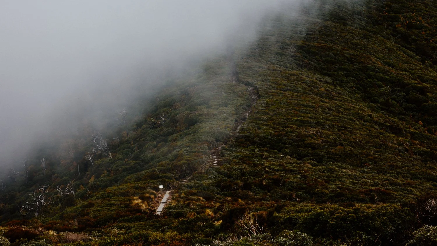 Pouaki Hut-60.jpg