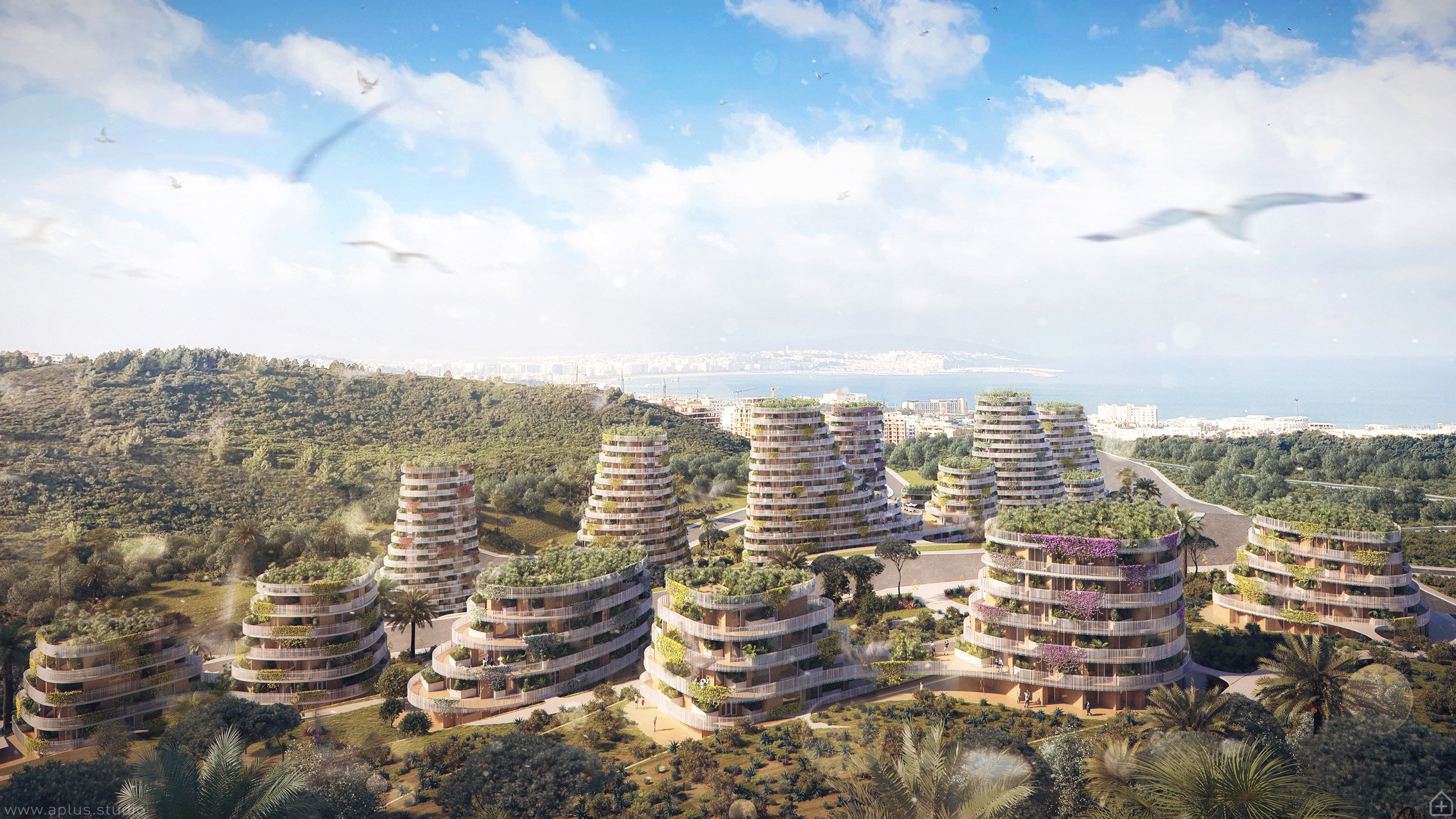 yda / forest town, tangier